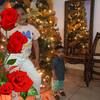 mariamarenco320